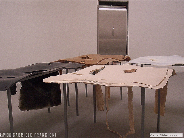 PADIGLIONE INTERNAZIONALE Nairy Baghramian 02